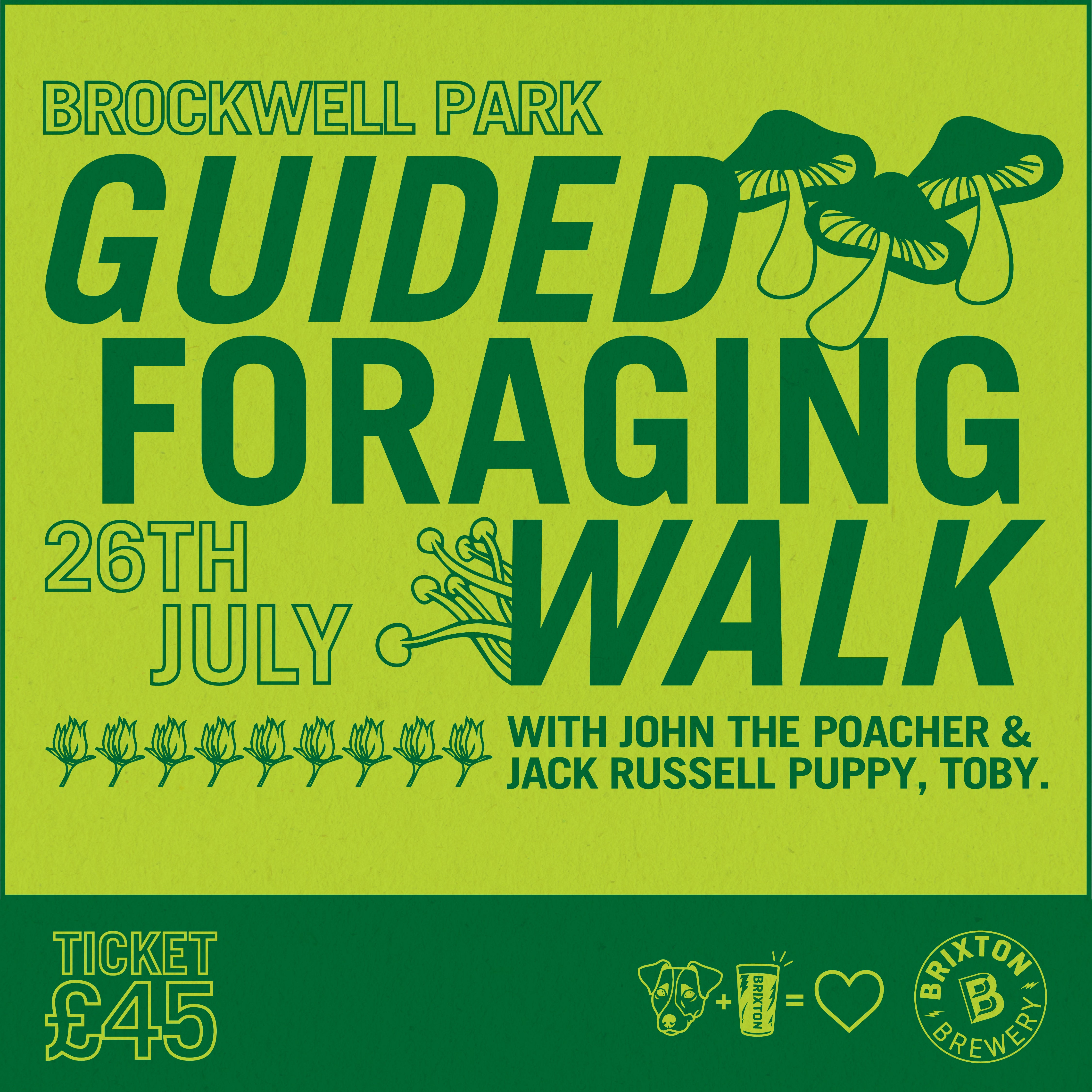 Guided Foraging Walk