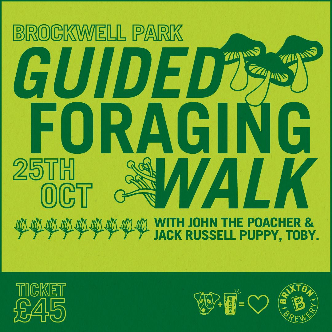 Guided Foraging Walk