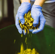 Brewing Process